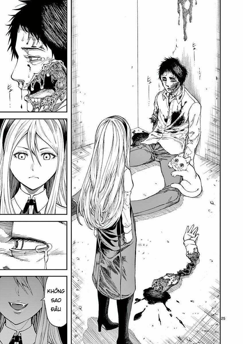 nữ vương của máu và tro chapter 1 24