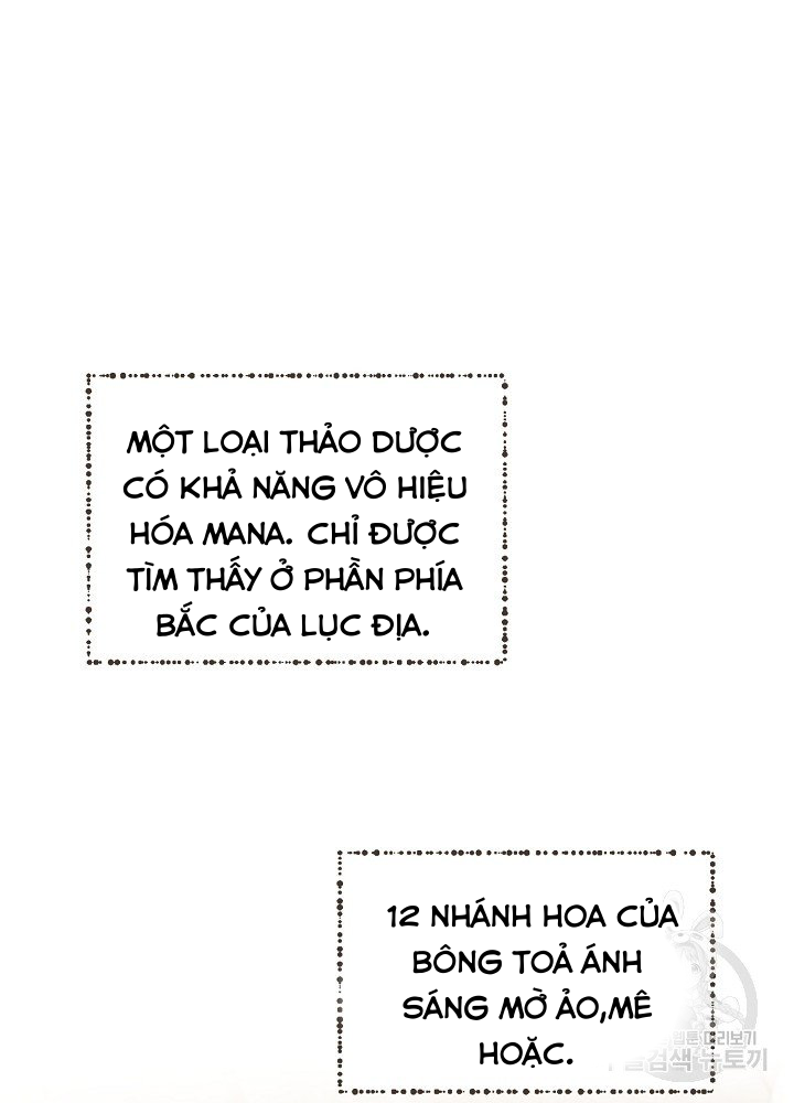 sự quay trở lại của pháp sư cấp 8 chapter 8 43