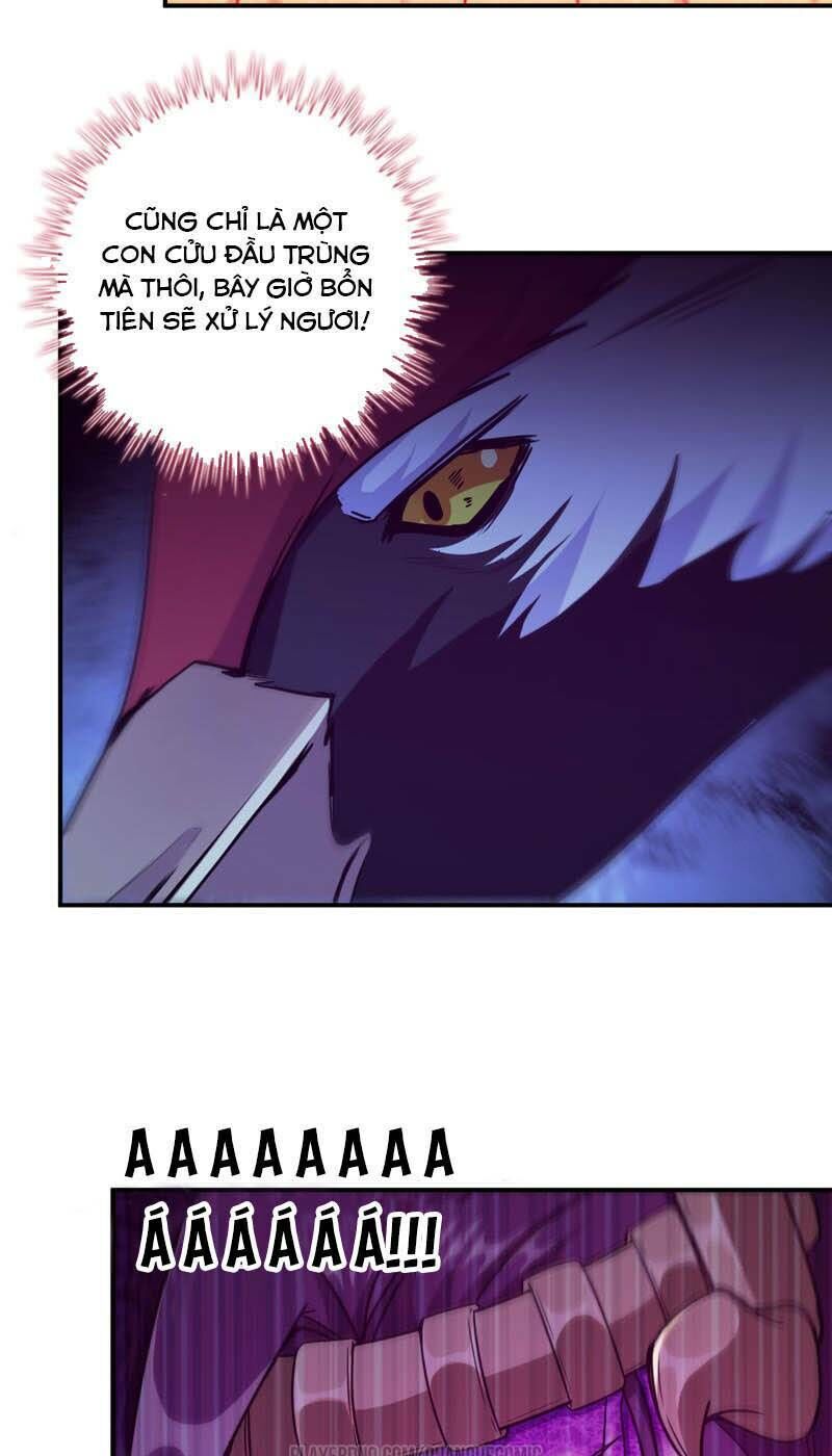 khởi đầu bằng một con côn chapter 77 11