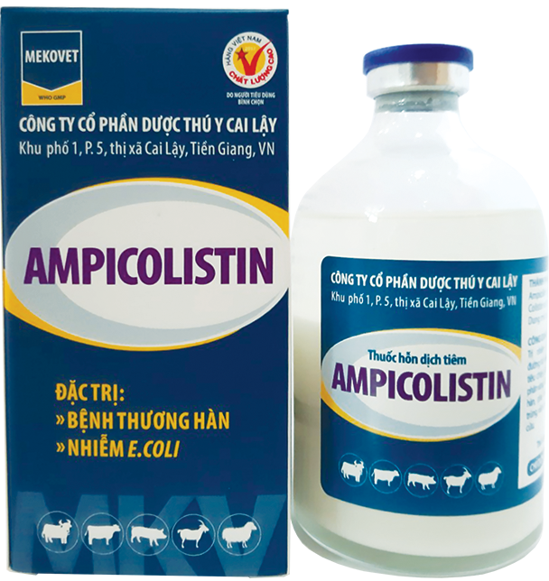 Thuốc hỗn dịch tiêm AMPICOLISTIN 20ml đặc trị bệnh thương hàn,nhiễm ecoli