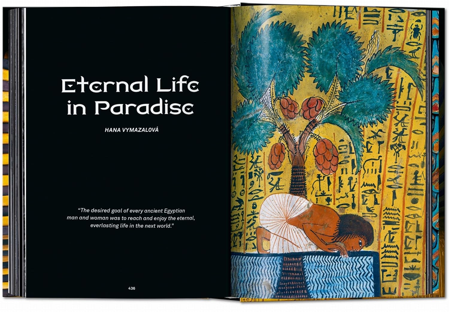 [SÁCH NGOẠI VĂN] KING TUT. THE JOURNEY THROUGH THE UNDERWORLD. 40TH ED. - Sandro Vannini - Read Station