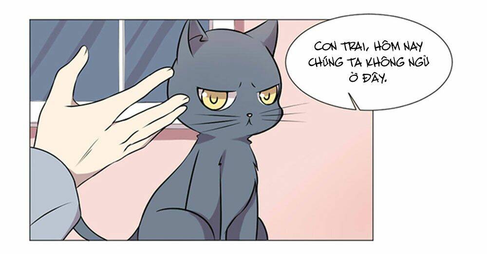 hai chú mèo totem chapter 37 55