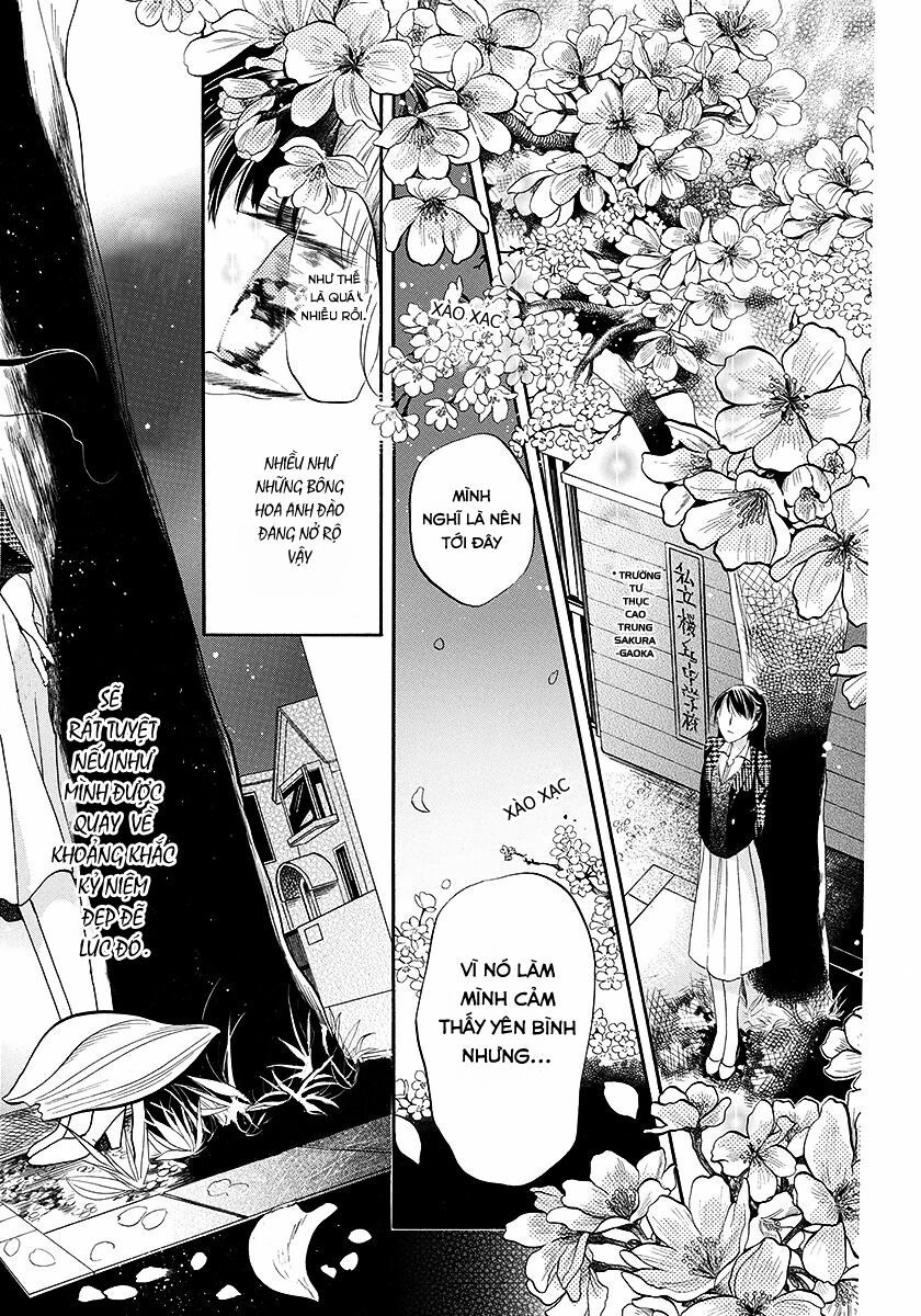 dưới bóng cây anh đào chapter 1 28
