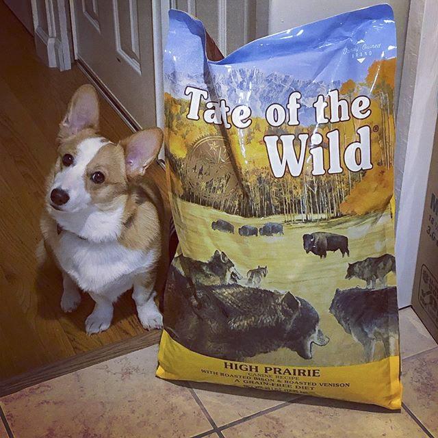 Thức Ăn Cho Chó Corgi Taste Of The Wild Bao 2kg - High Praire Bò Rừng & Nai Nướng, Trái Cây Rau Củ Quả