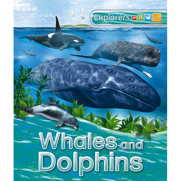 Explorers: Whales And Dolphins