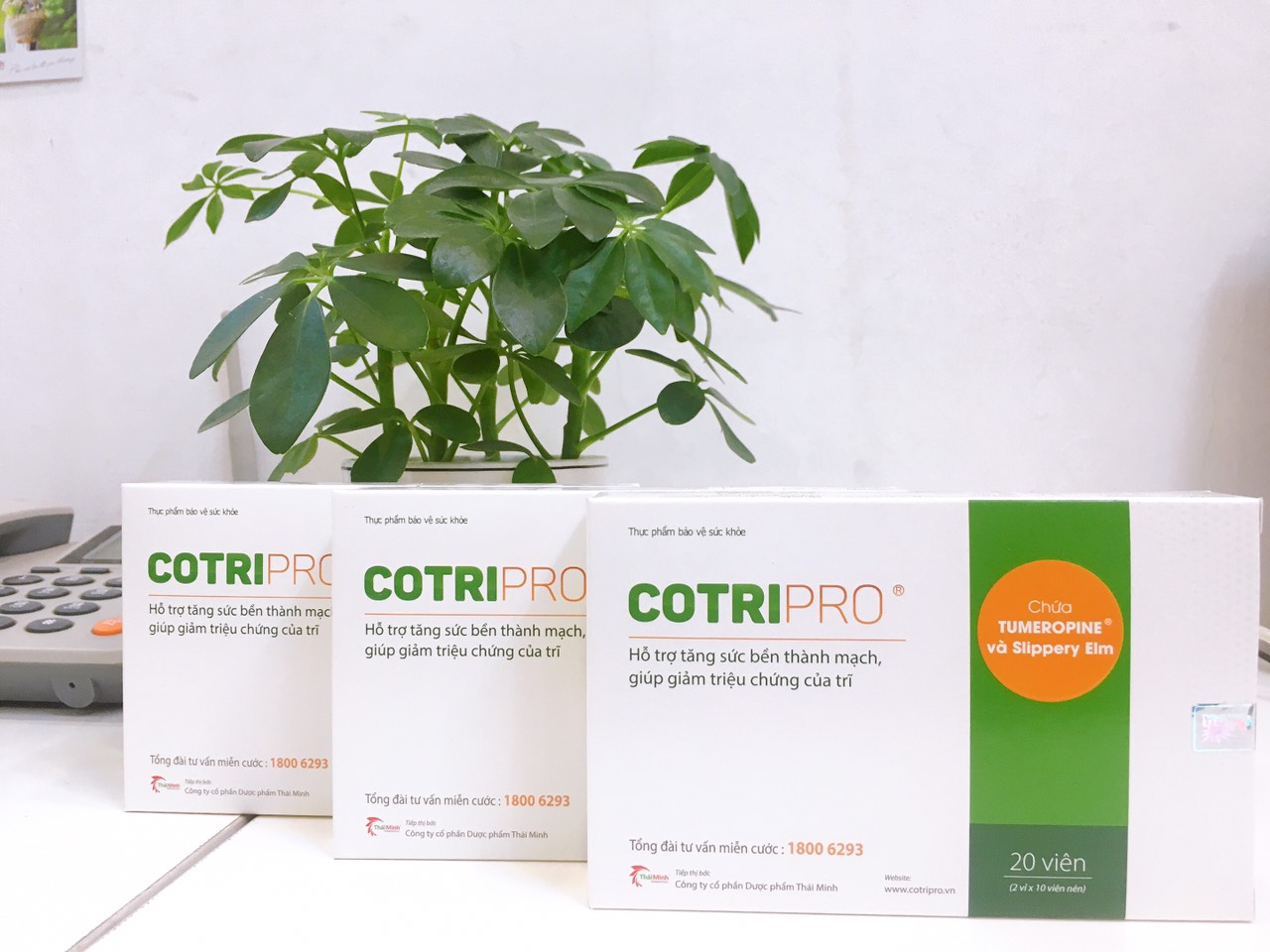 Combo 3 hộp COTRIPRO