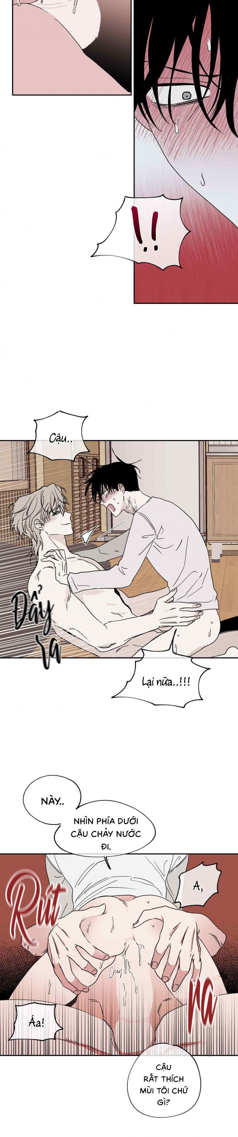 đêm bên bờ biển chapter 11 19