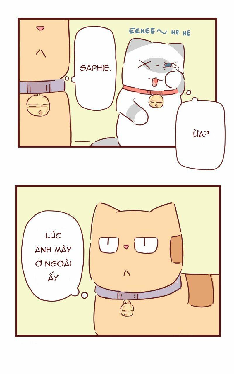 saphie: chú mèo một mắt chapter 28 14