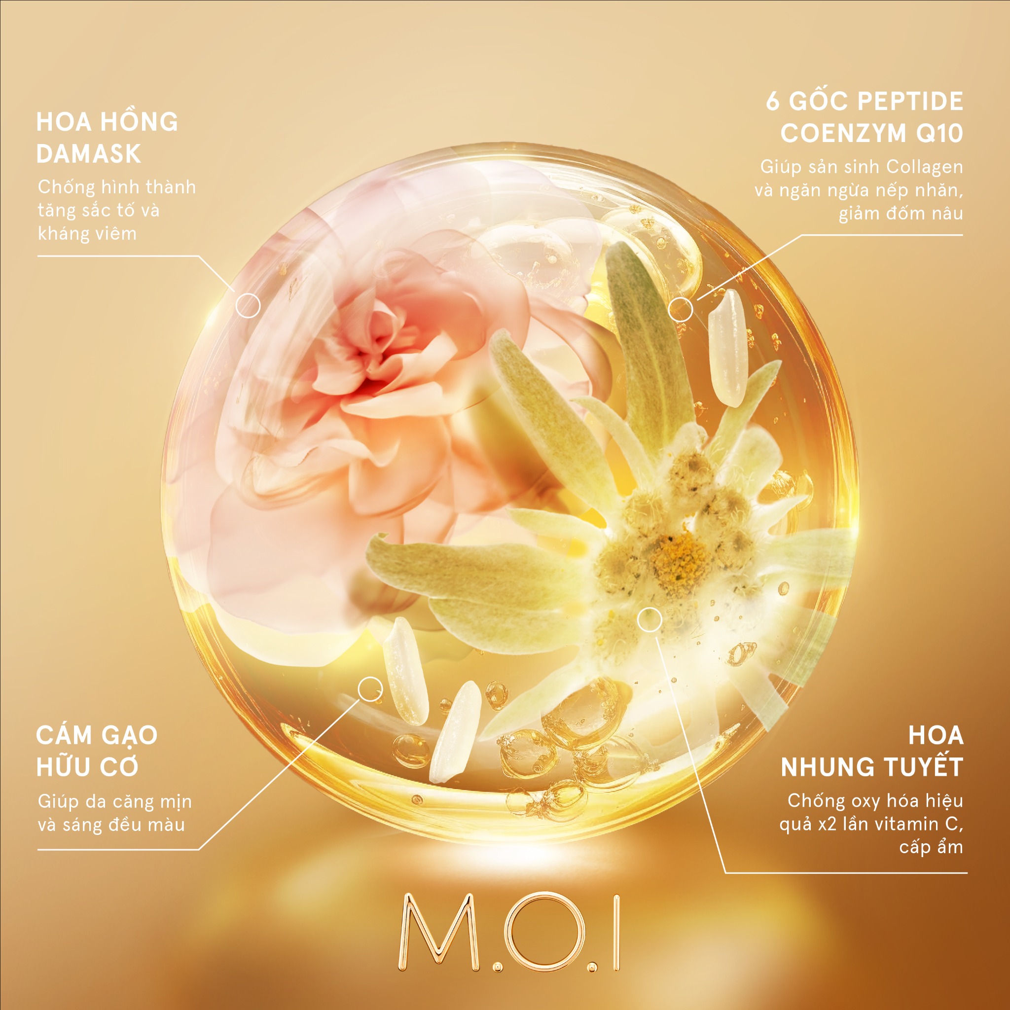 MẶT NẠ GẠO M.O.I HYDROGEL VÀNG PHIÊN BẢN CAO CẤP HỒ NGỌC HÀ
