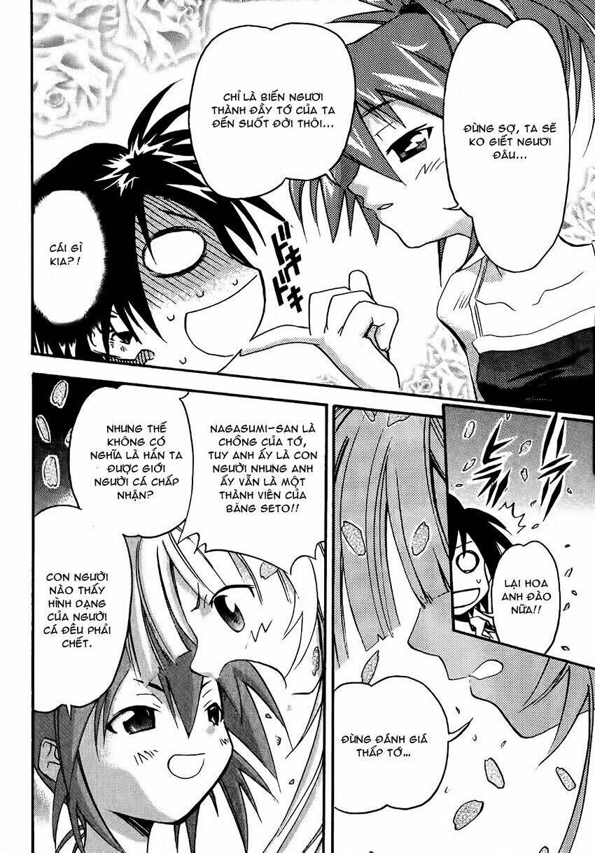 seto no hanayome chapter 12 25