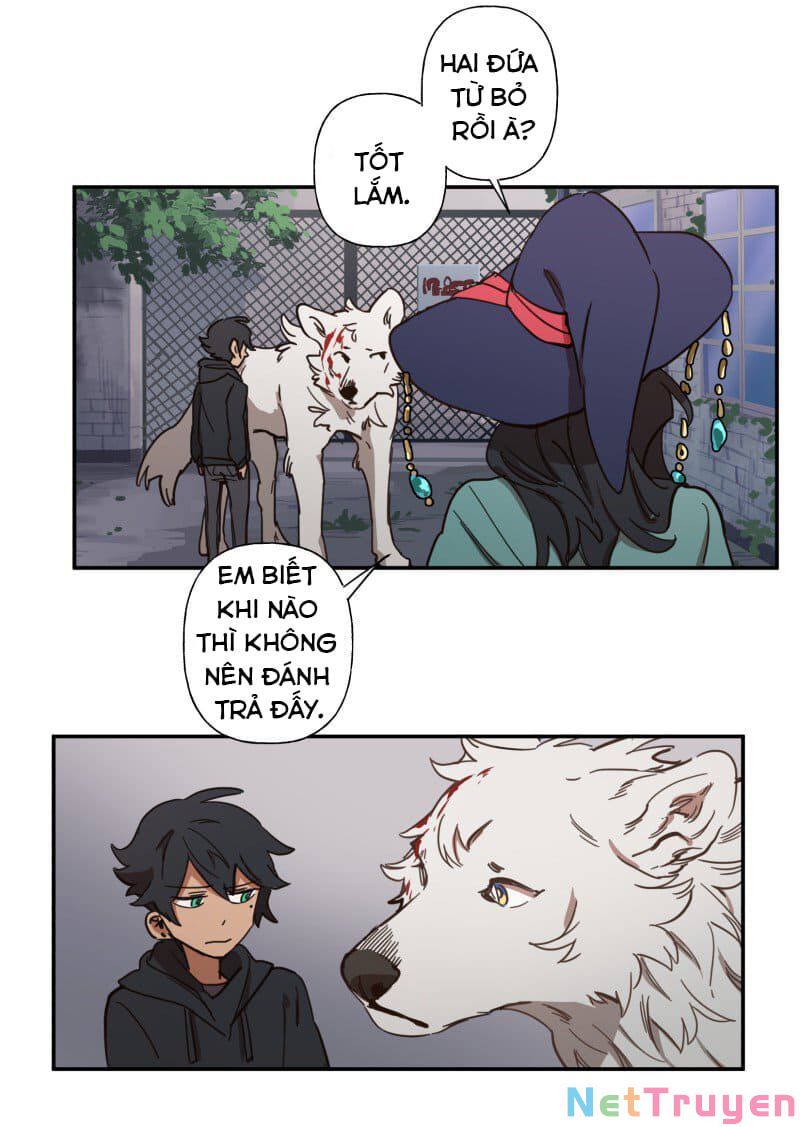 lumine - cội nguồn ánh sáng chapter 78 7