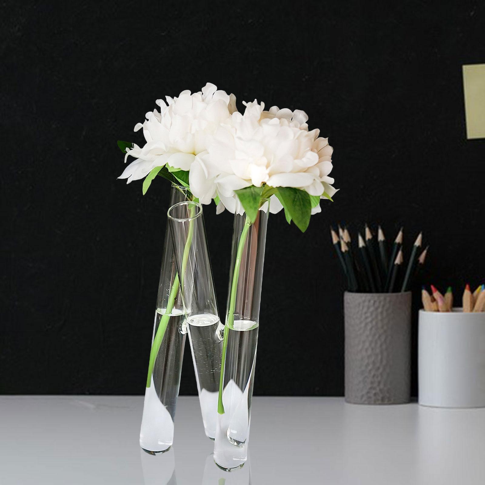 Test Tube Vase with 3 Test Tubes Flower Vase for Housewarming Wedding