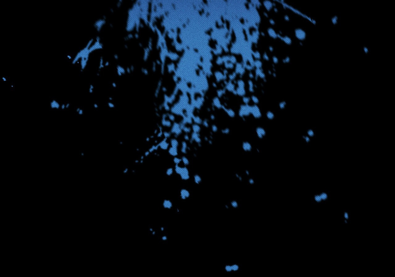 chàng giao pizza và gold palace chapter 10 117