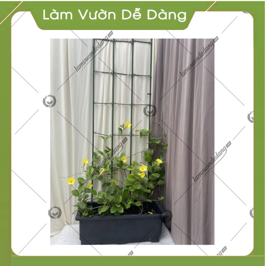 KHUNG HOA LEO XẾP GỌN - KHUNG TRỒNG CÂY ĐA NĂNG - Dùng làm khung giá đỡ cho hoa hồng leo, cây hoa leo tạo vẻ sang trọng tinh tế cho khu vườn