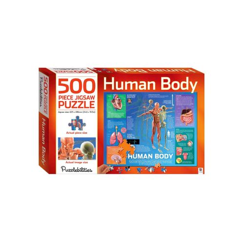 Human Body 500-piece Jigsaw Puzzle