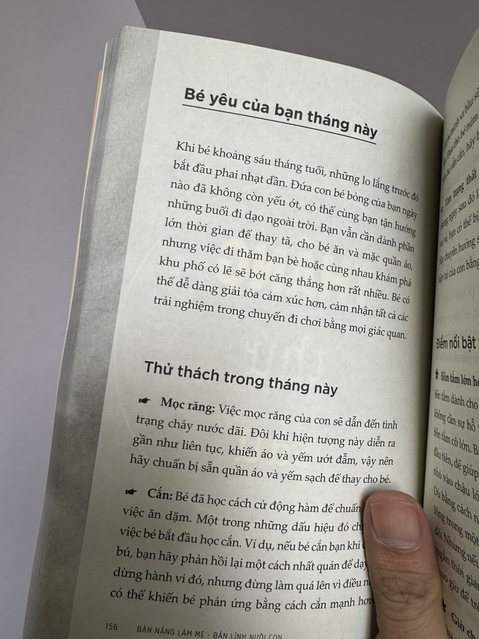 BẢN NĂNG LÀM MẸ - BẢN LĨNH NUÔI CON_ Aubrey Hargis _Mia Bùi dịch_AZ Việt Nam_NXB Thế Giới