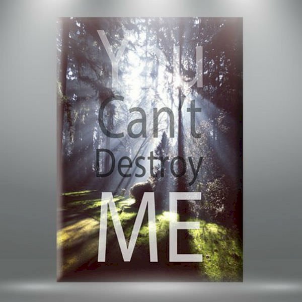 Tranh Tạo Động Lực "You Can't Destroy Me" W225