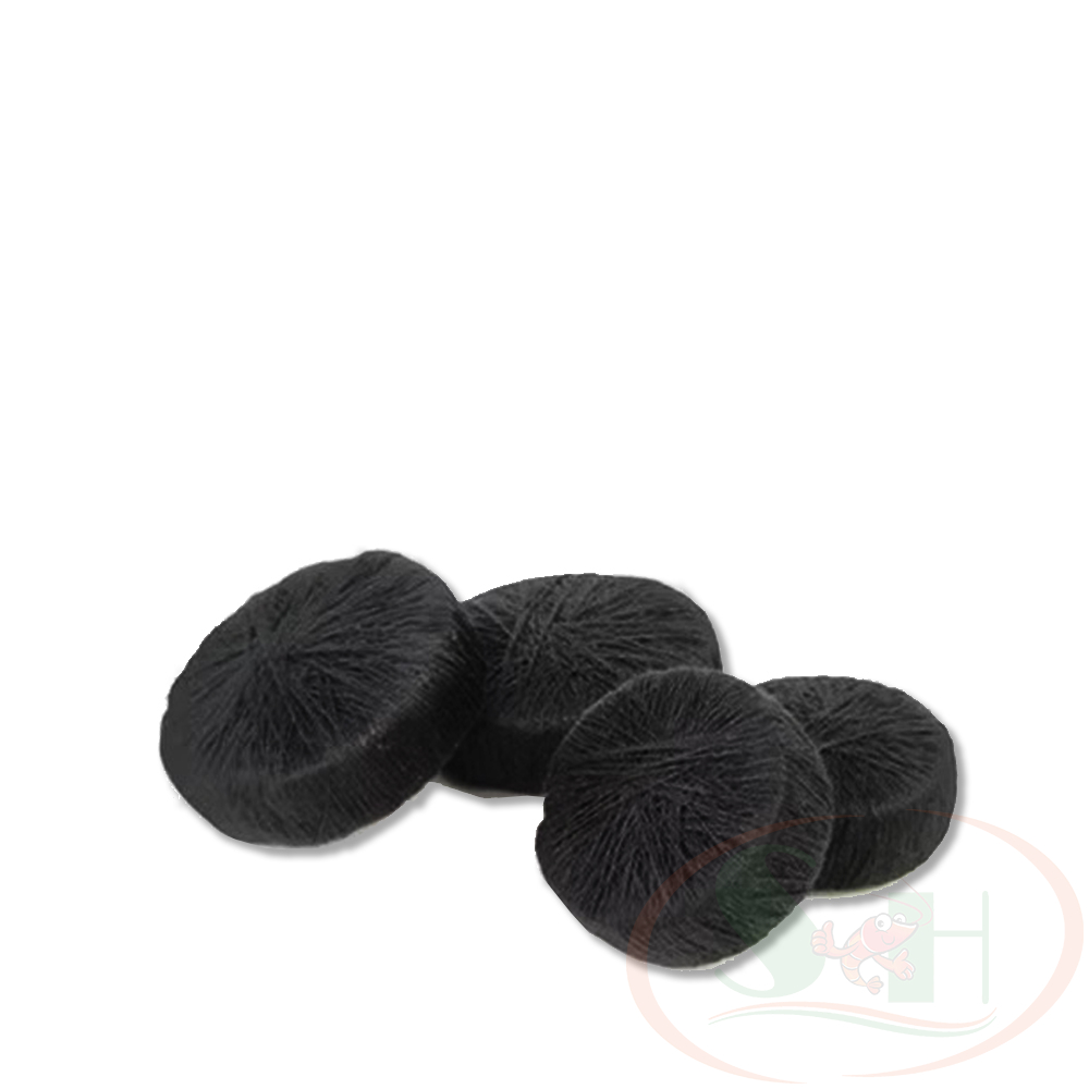 Giá thể trồng cây Tuo Jiang ươm hạt mầm thủy sinh cảnh bán cạn tiểu cảnh
