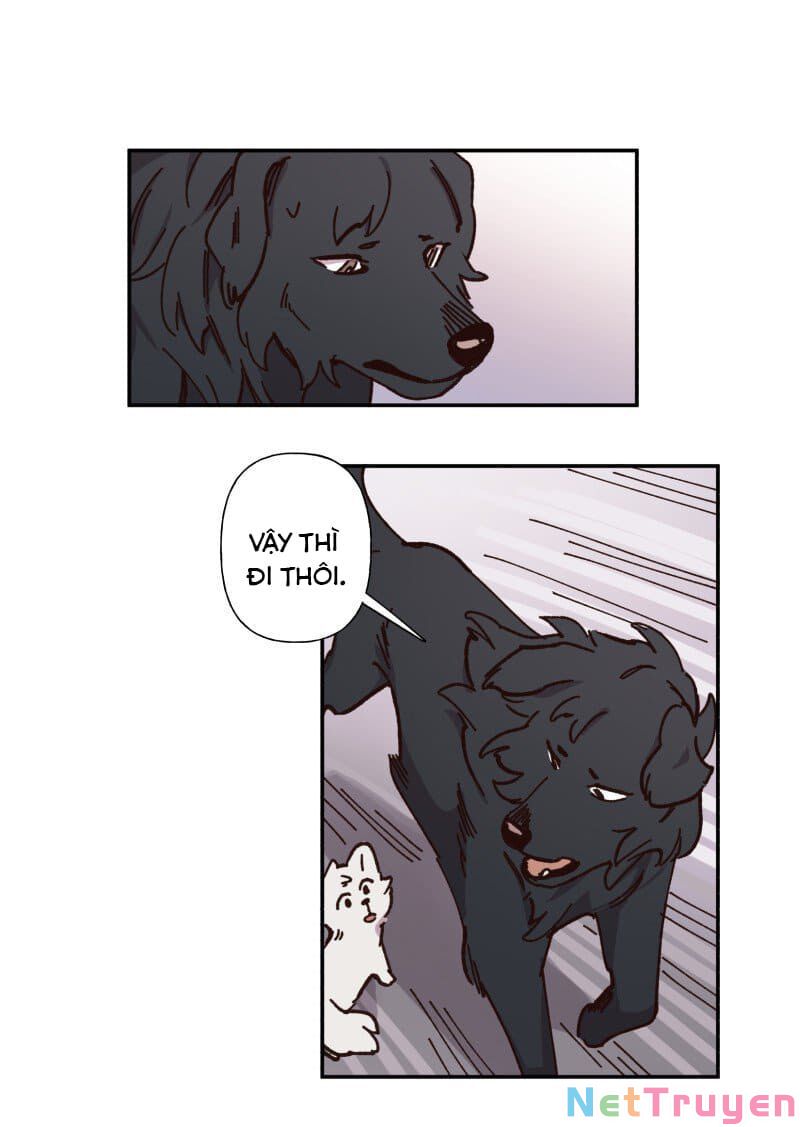 lumine - cội nguồn ánh sáng chapter 82 23