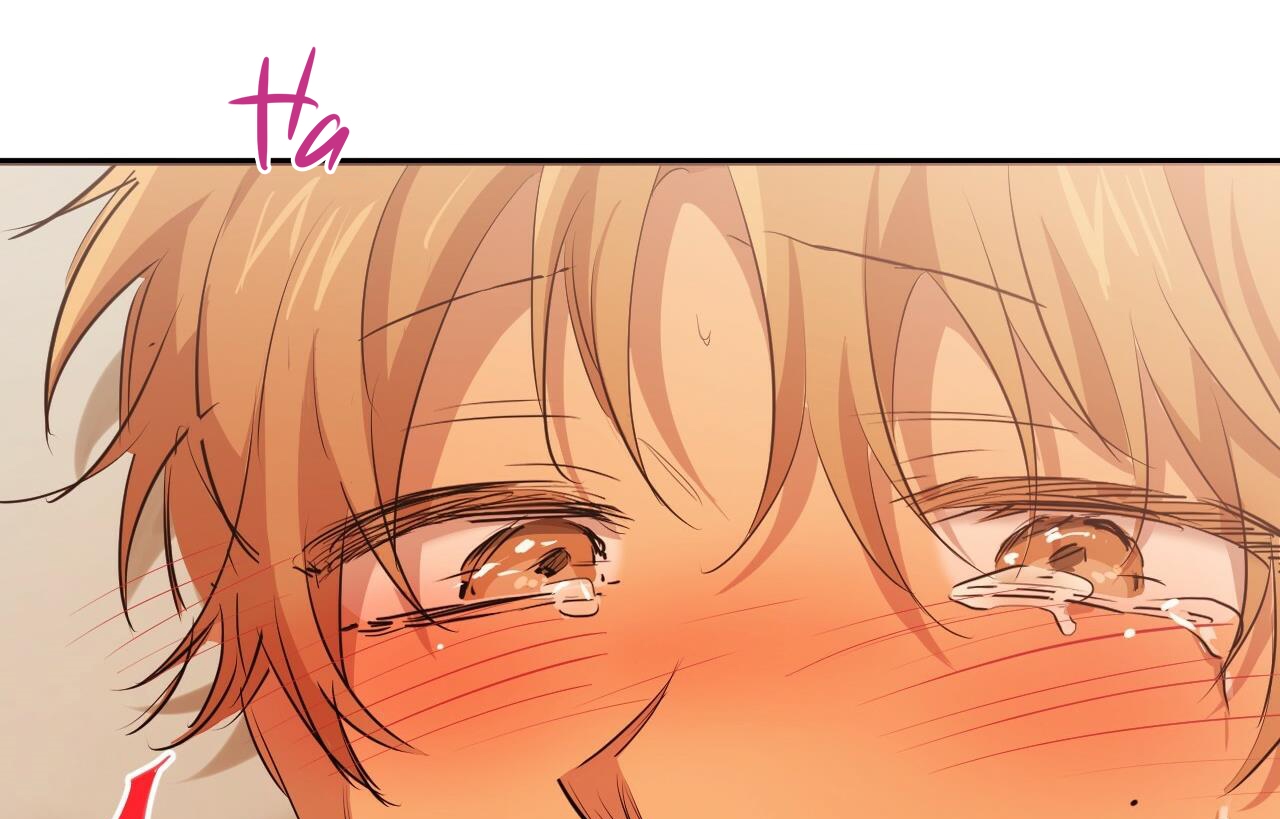 đàn thỏ của habibi chapter 26 55