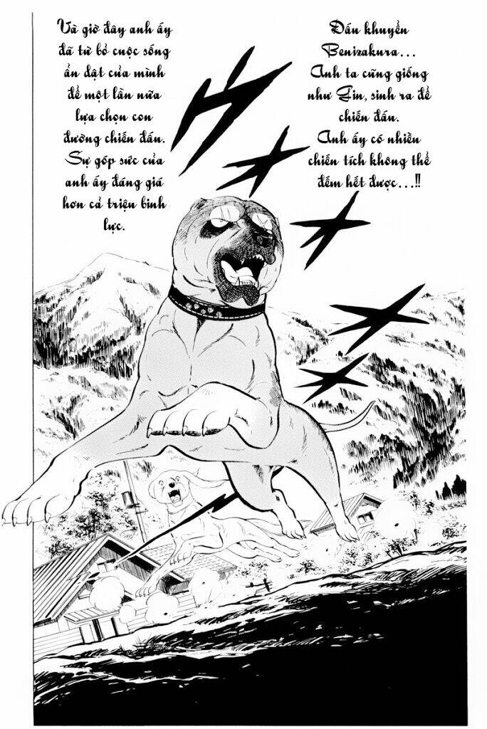 chú chó có nghĩa - ginga nagareboshi gin chapter 30 22