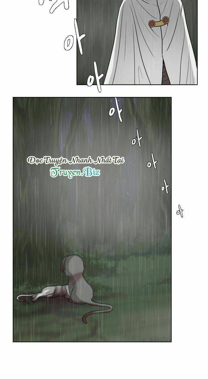 m. m. g. chapter 12 30