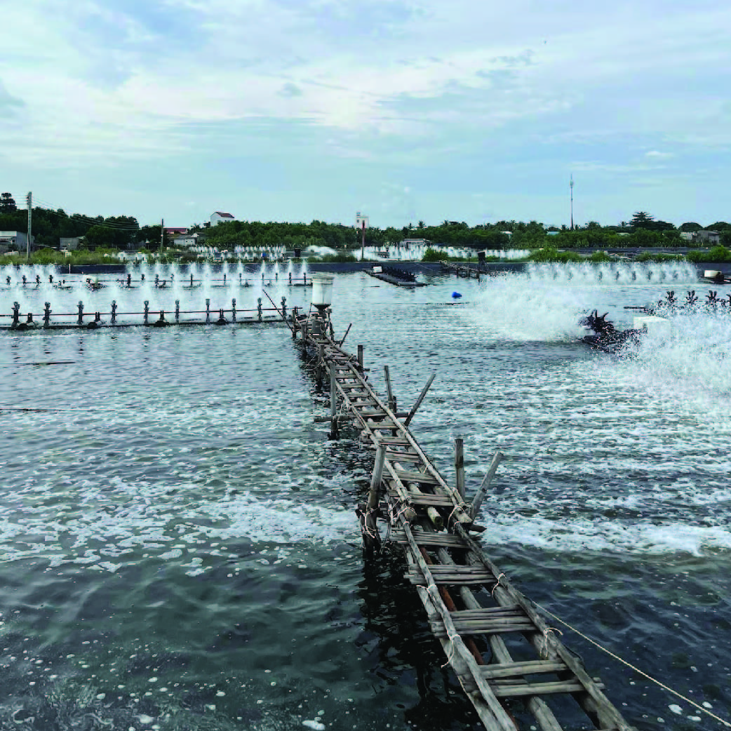 Vi sinh dùng cho trại giống THABAC PL