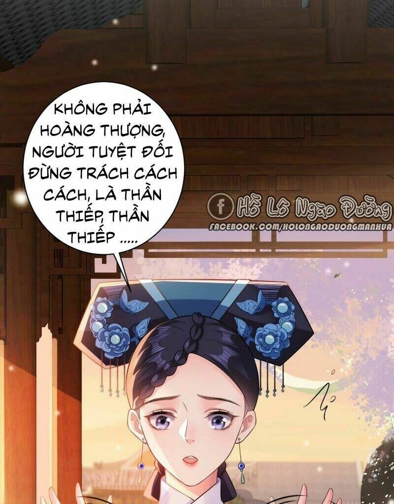 quận chúa vững vàng, thiết lập nhân vật không thể vỡ chapter 49 52