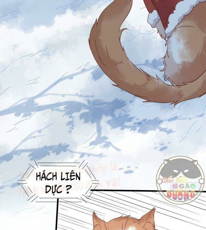 sát thủ vương phi không dễ chọc chapter 39 5