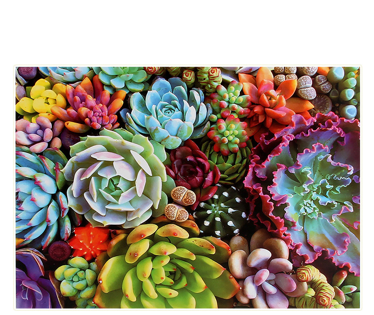 Bộ Tranh Ghép Xếp Hình 1000 Pcs Jigsaw Puzzle Sắc Màu Bản Thú Vị Cao Cấp
