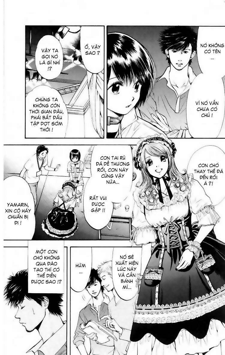 cô nàng yêu chó chapter 14 7