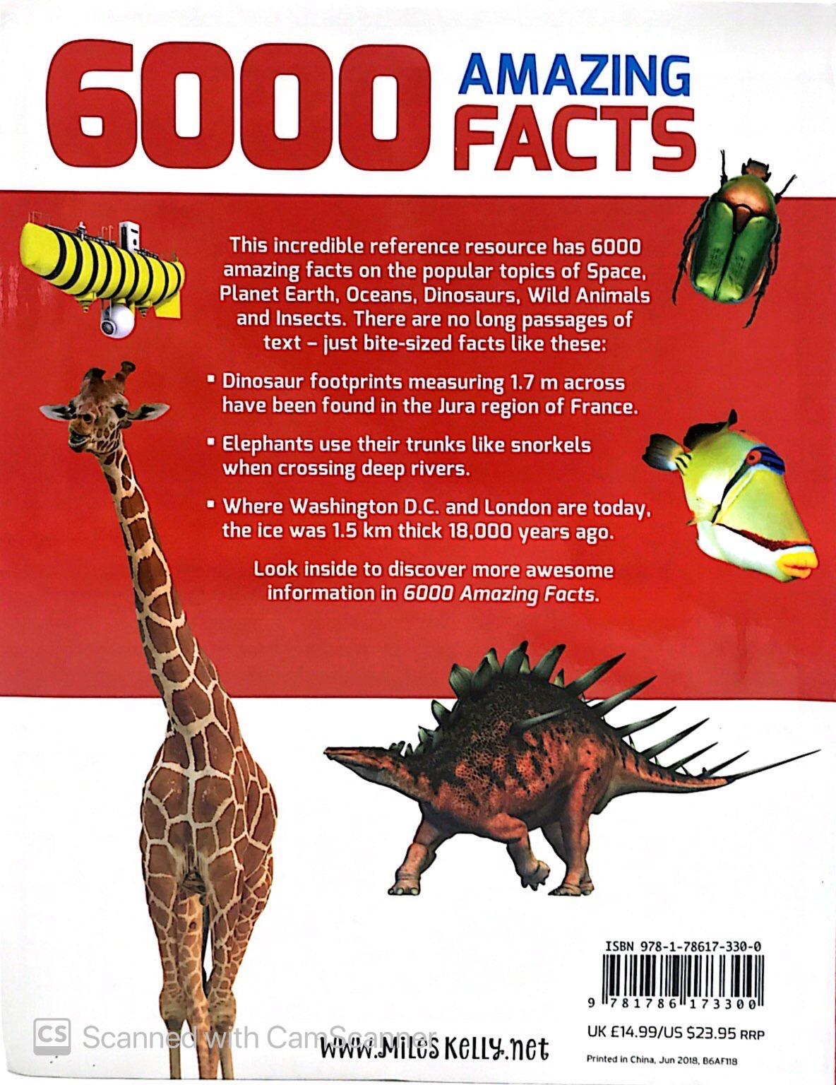 B384 6000 AMAZING FACTS