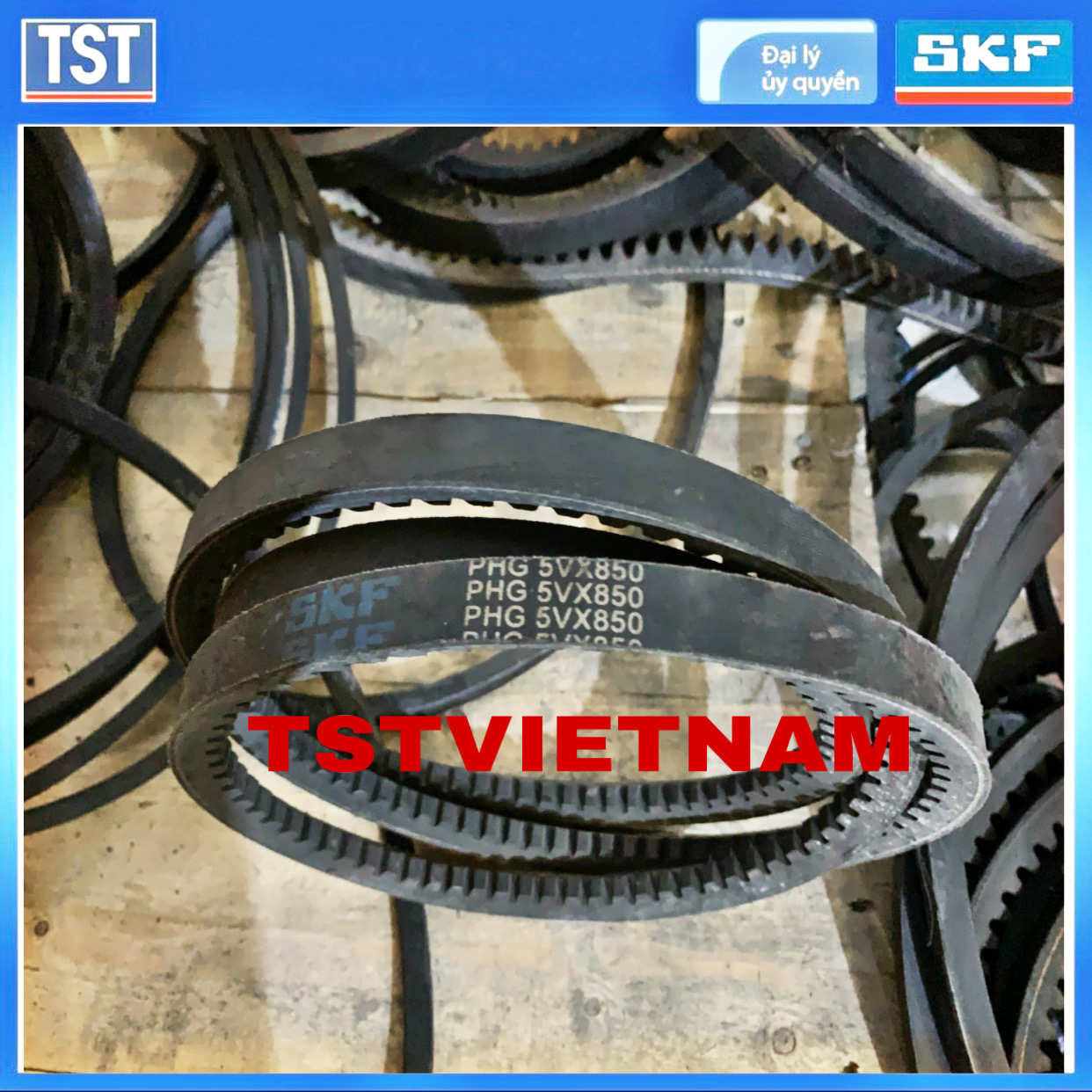 Dây đai SKF PHG 5VX850 (Hàng chính hãng 100%)