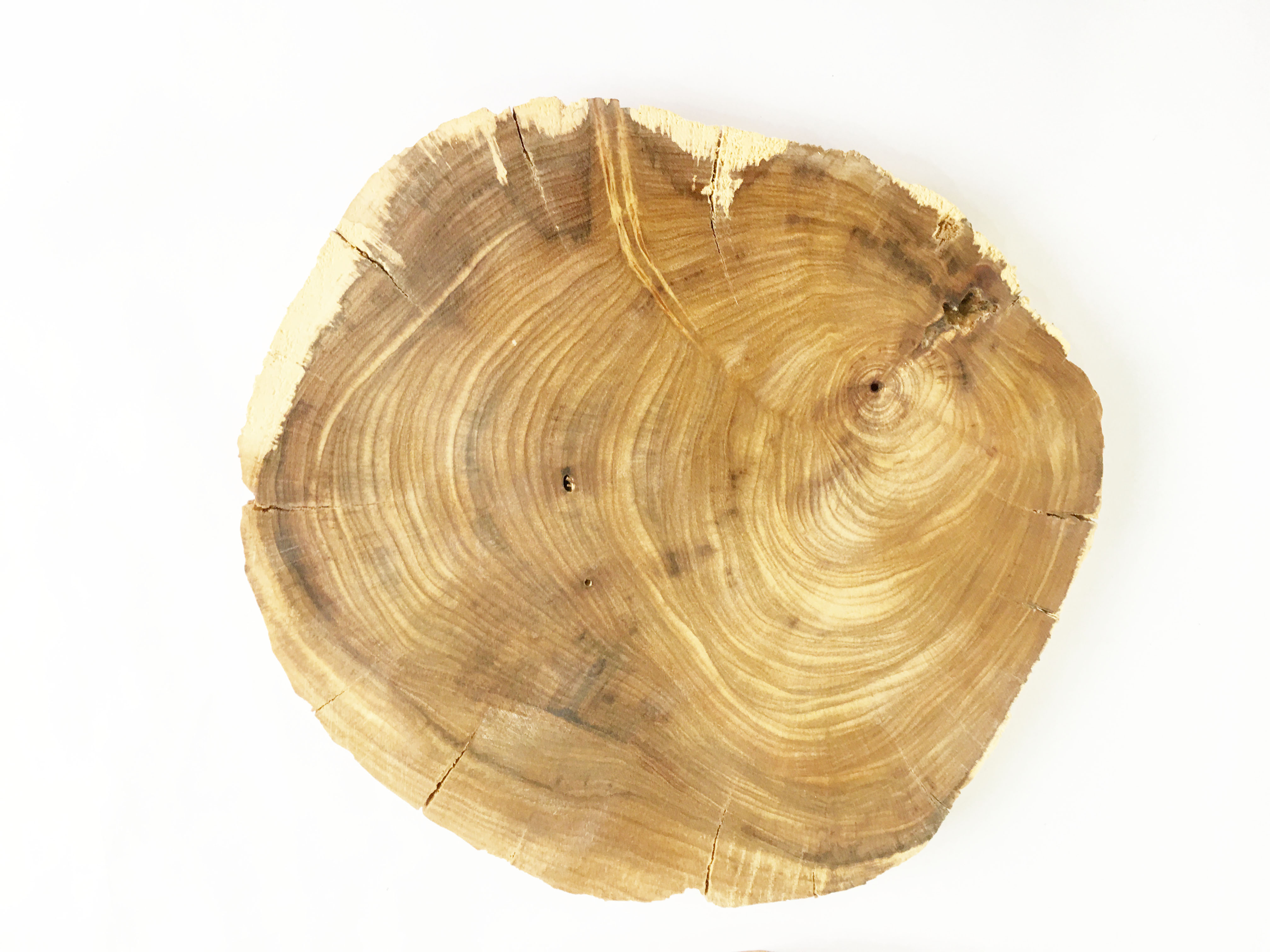 Khoanh gỗ lũa dùng trang trí, decor vintage, chụp ảnh KT 18-25cm