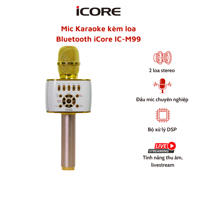 Micro Karaoke 3 trong 1 IC-M99 - Hàng Chính Hãng