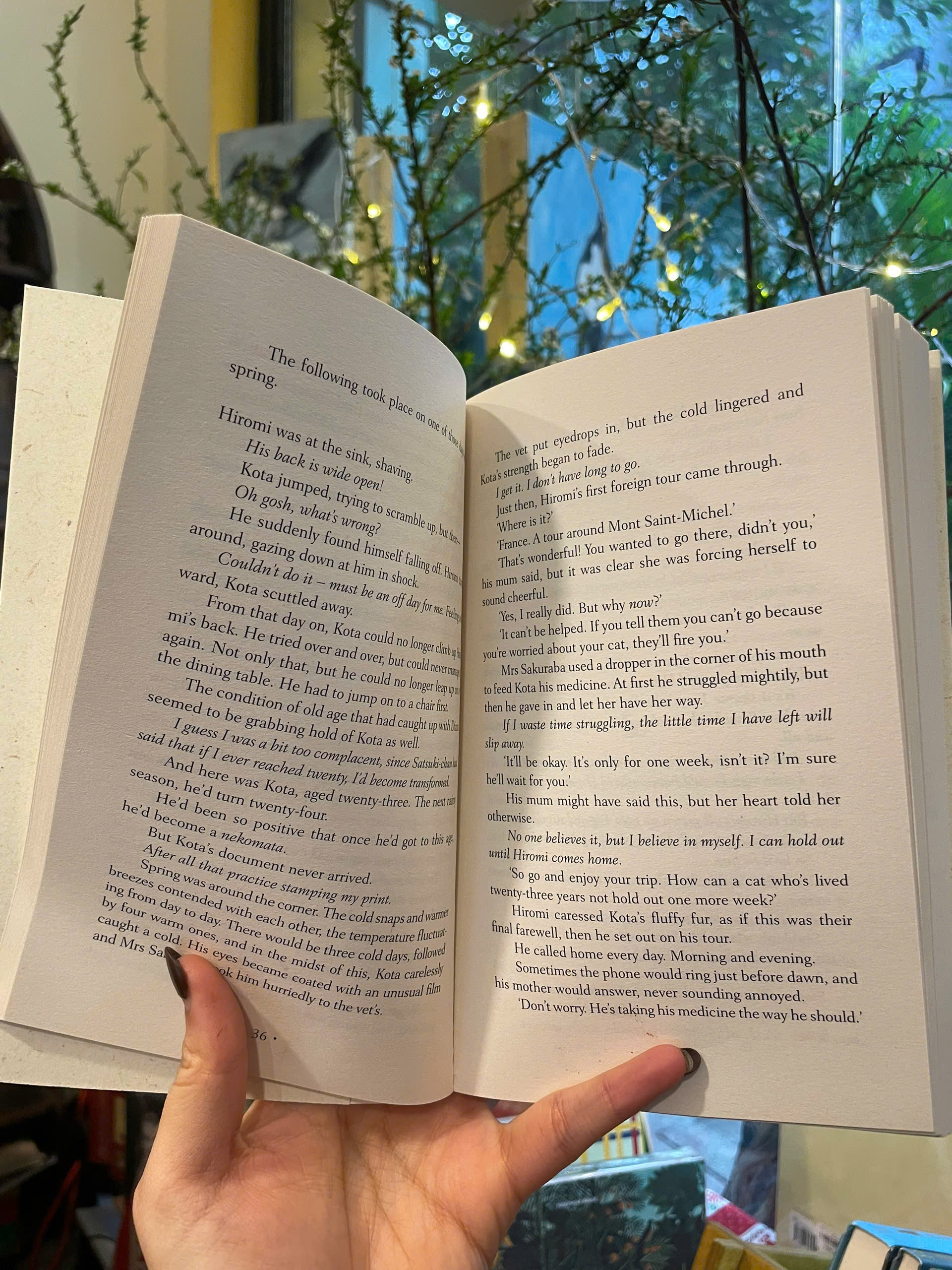 Sách - The Goodbye Cat by Hiro Arikawa - Fiction/Short Stories/English Book - Sách Ngoại Văn