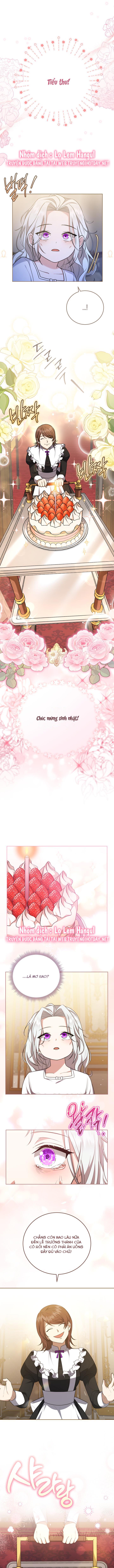 tiểu thư, ta chẳng thích cô chút nào! chapter 1 5