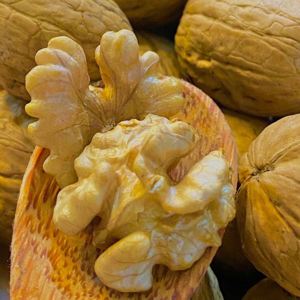 Hạt Óc Chó Vàng Tách Vỏ Mỹ / Chile 500gr - HOLINUT