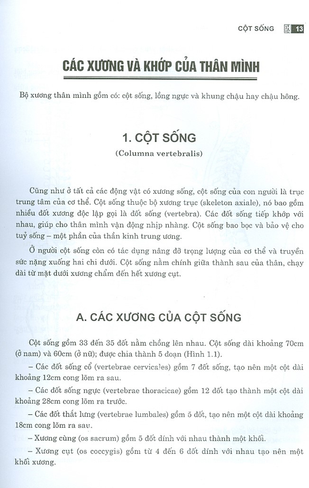 Giải Phẫu Người - Tập 2 - Giải Phẫu Ngực - Bụng