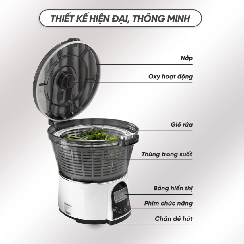 Máy rửa và khử khuẩn thực phẩm bằng Ozone cao cấp Septree AXM-810 6 Lít Công suất 100W