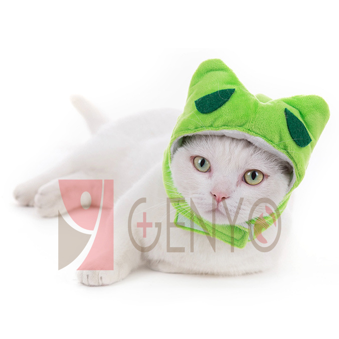 Nón trùm đầu cho thú cưng - Genyo pet hat 003 ( một cái, màu và mẫu giao ngẫu nhiên )