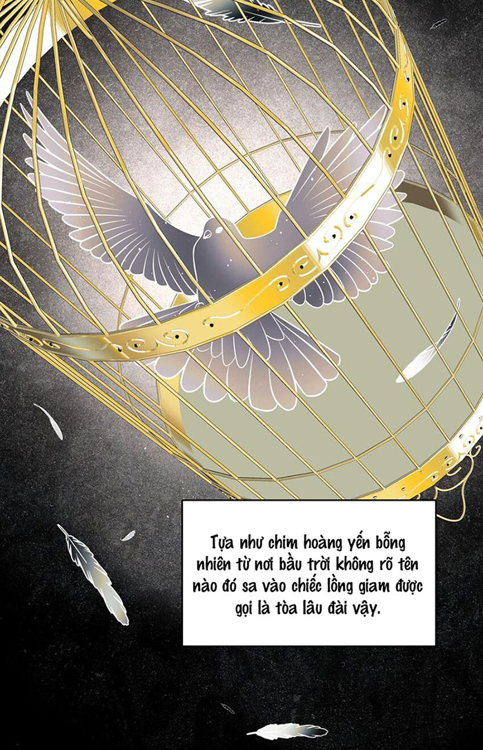 tình cũ là vua chapter 40 44