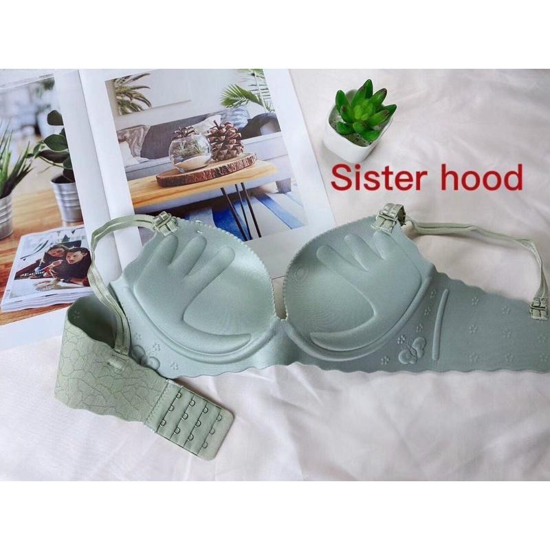 CHUYÊN SỈ: ÁO ĐÚC HỌA TIẾT