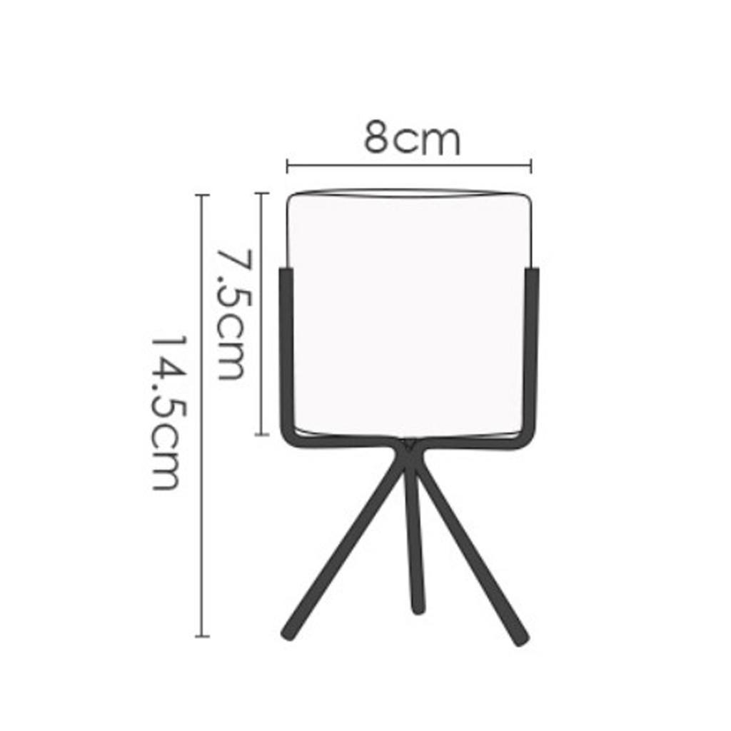 Nordic Style Metal Plant Stand Rack with Flower Pot S.5cm Pot