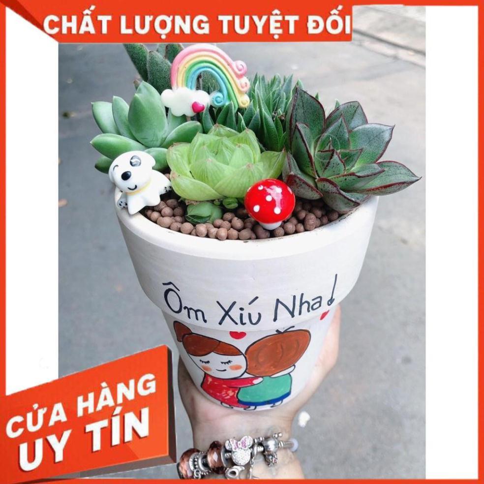 Các mẫu sen đá tiểu cảnh đồng giá 200k Nhiều Người Mua