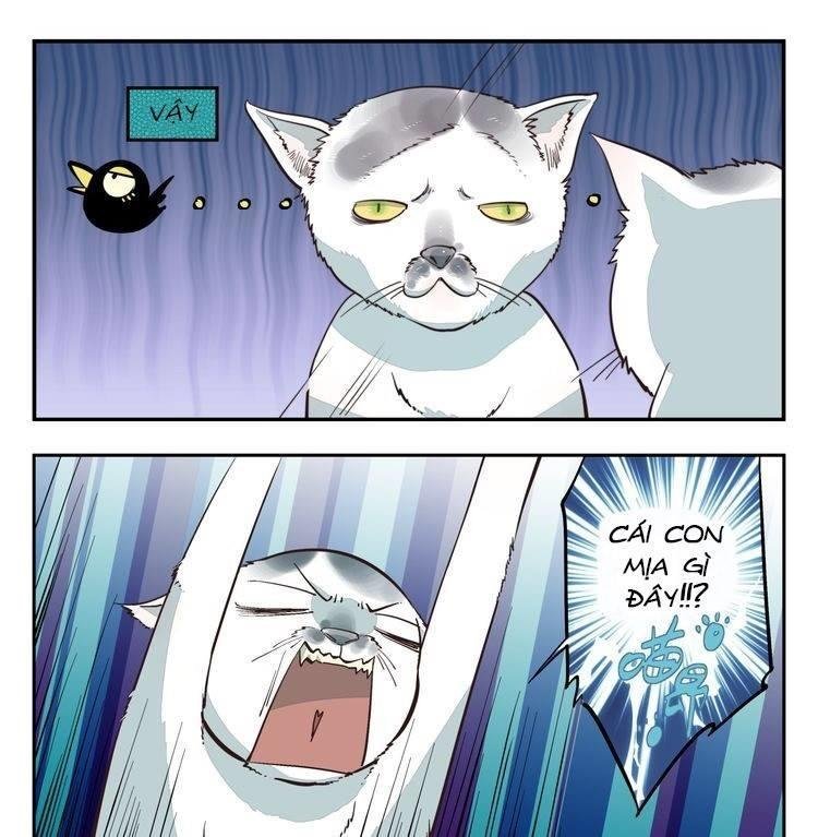 thời khắc ấy, chúng ta gặp nhau chapter 2 5