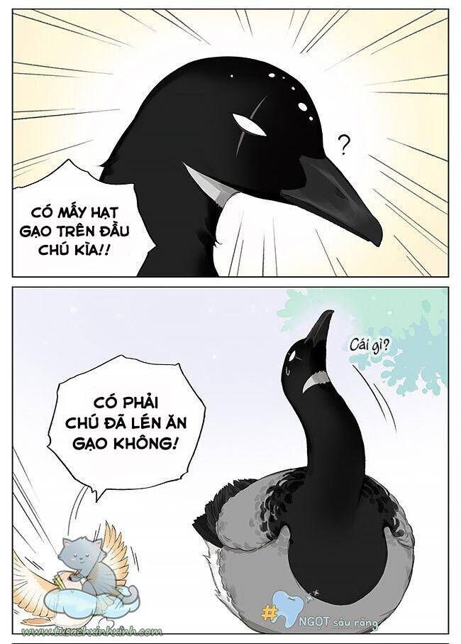 chim sẻ gọi ngỗng trời chapter 5 3