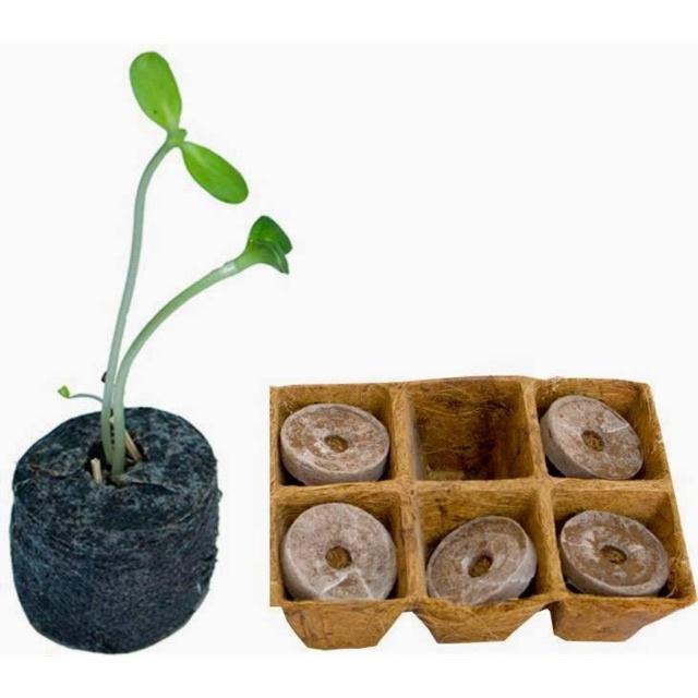 10 viên nén xơ dừa|| Viên nén ươm hạt xơ dừa, kích thích nãy mầm