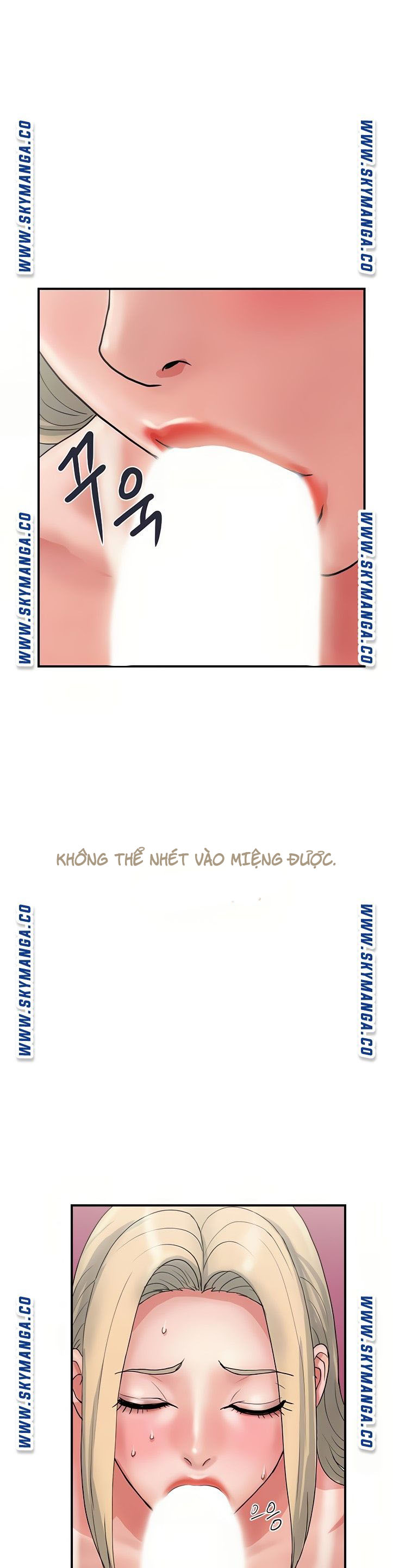 chất dẫn dục chapter 11 11