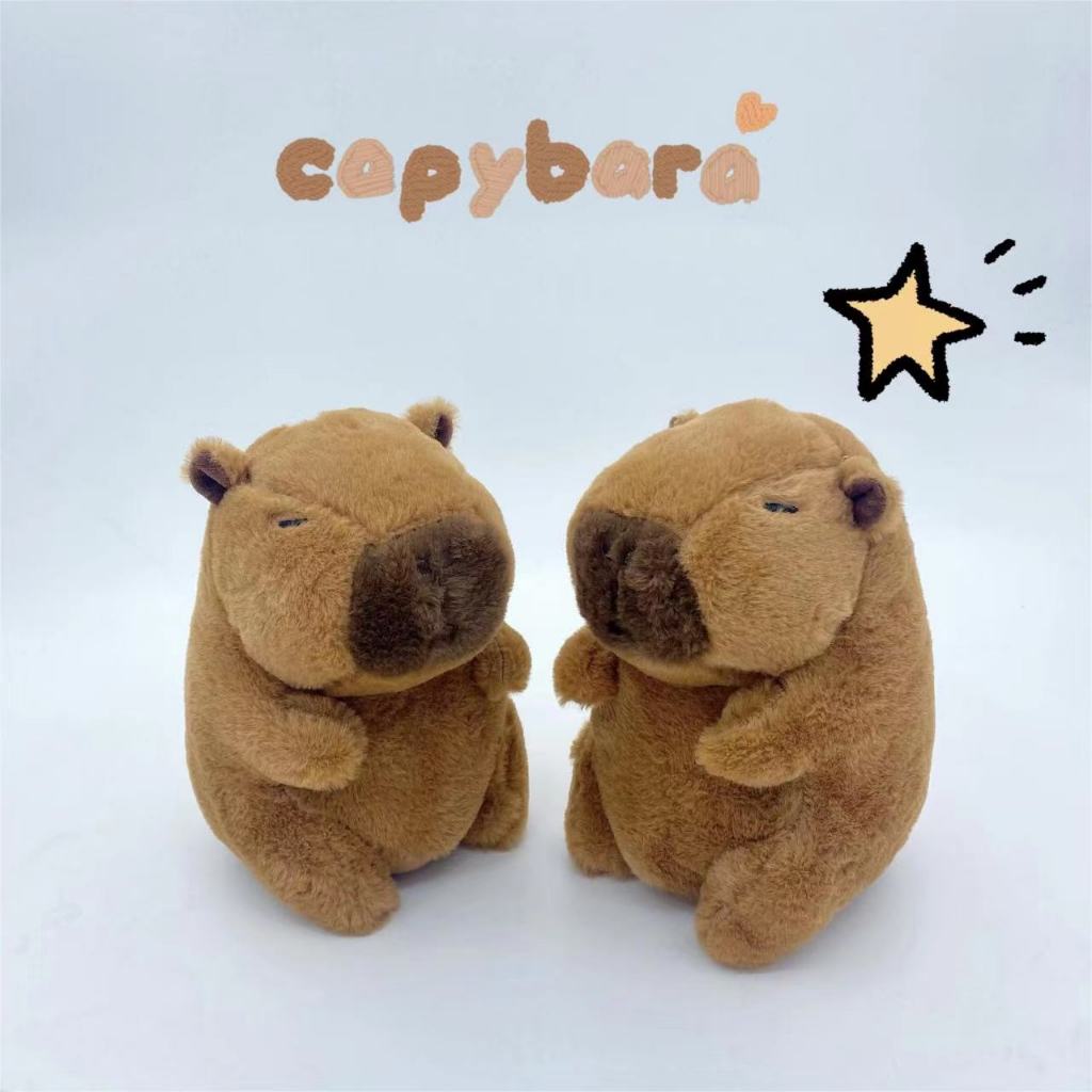 Thú nhồi bông capybara nhiều mẫu mini - Size 22cm - Quà tặng gấu bông capybara bộ trưởng hiền lành đáng yêu